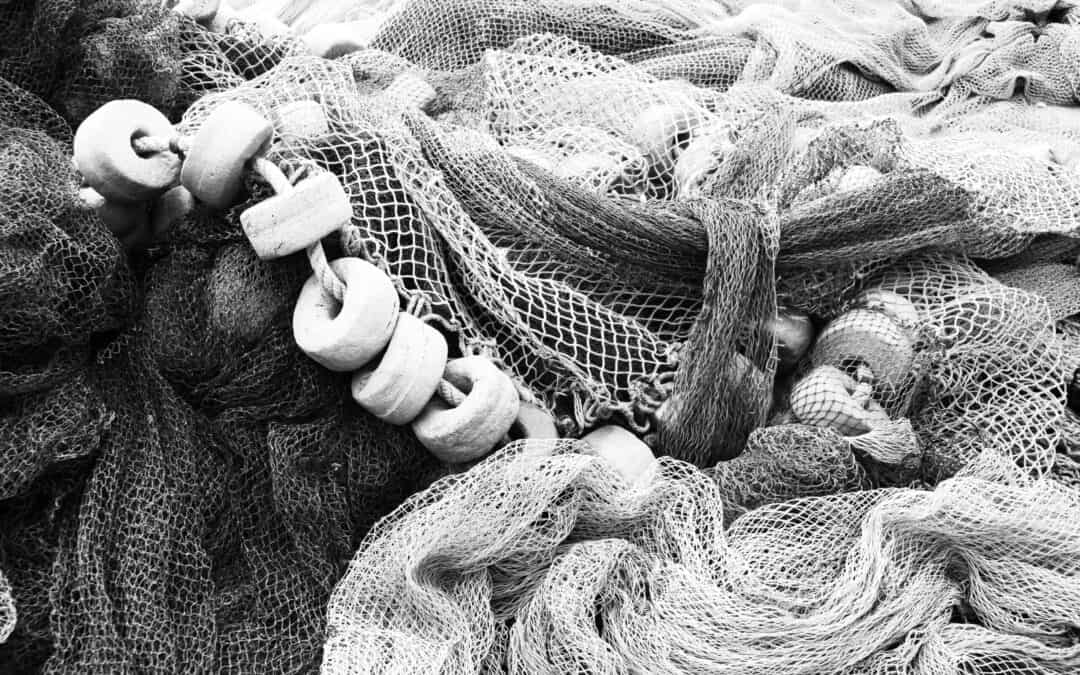 TASA net catches financial advisers