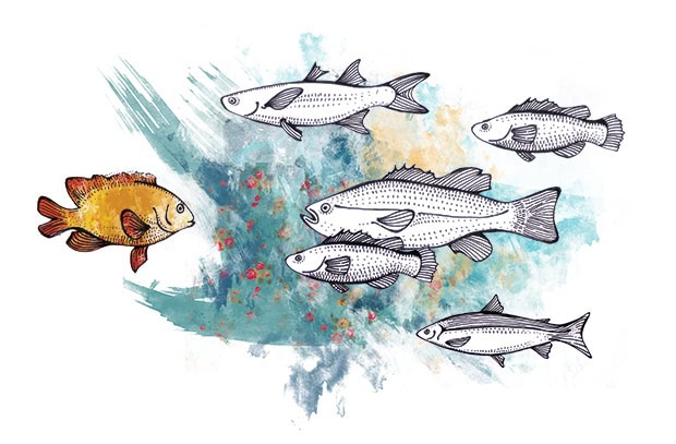 Fund performance against the tide