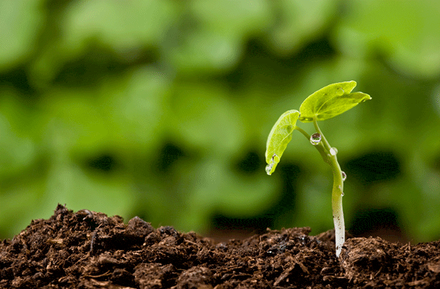 Make your 2014 New Year resolution to sustain, diversify and grow