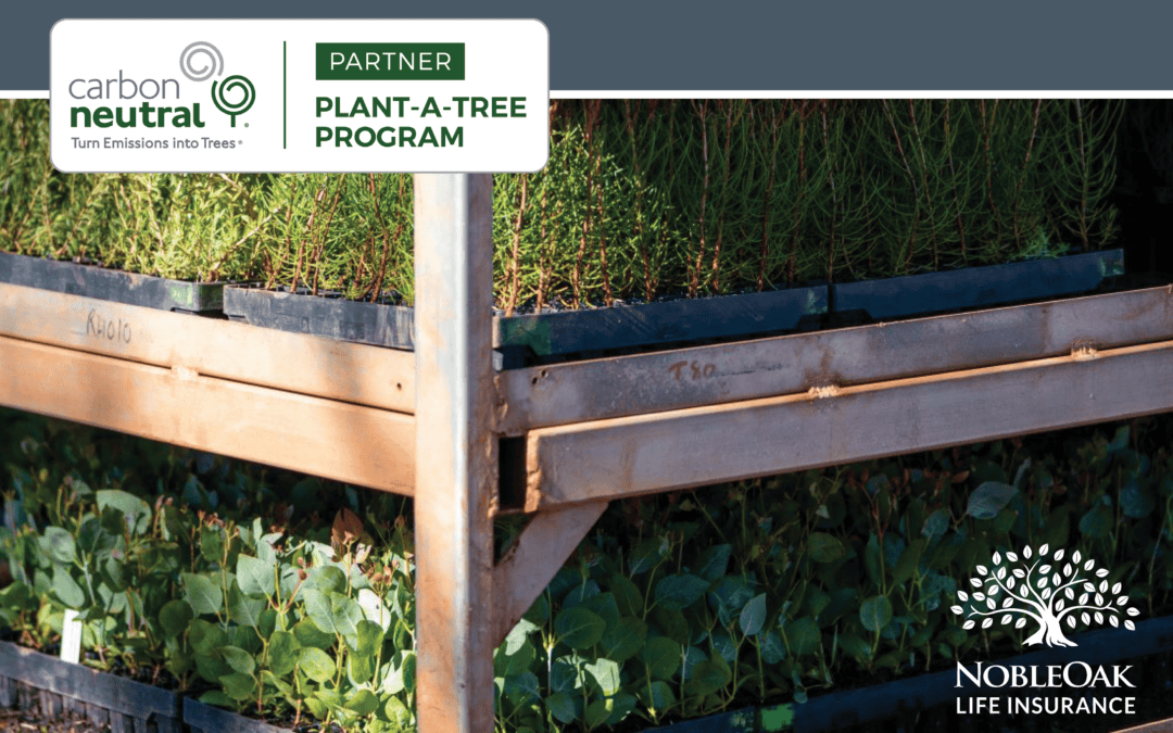 How does taking out life insurance with NobleOak help Planet Earth?