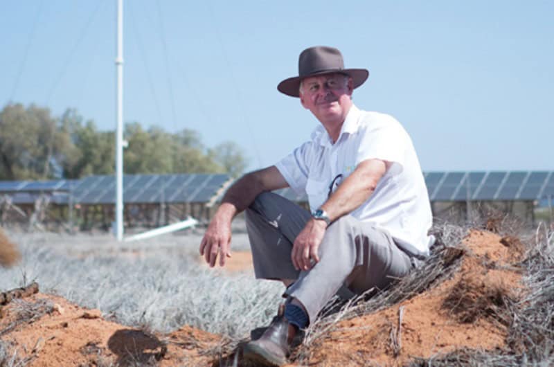 federal-election-GettyImages-72867997 In the cool of the sun