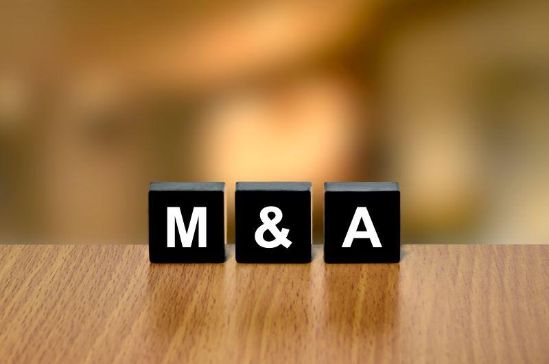 M&A activity 'to slow in first half'