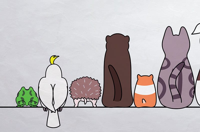 federal-election-GettyImages-72867997 The truth of diversity