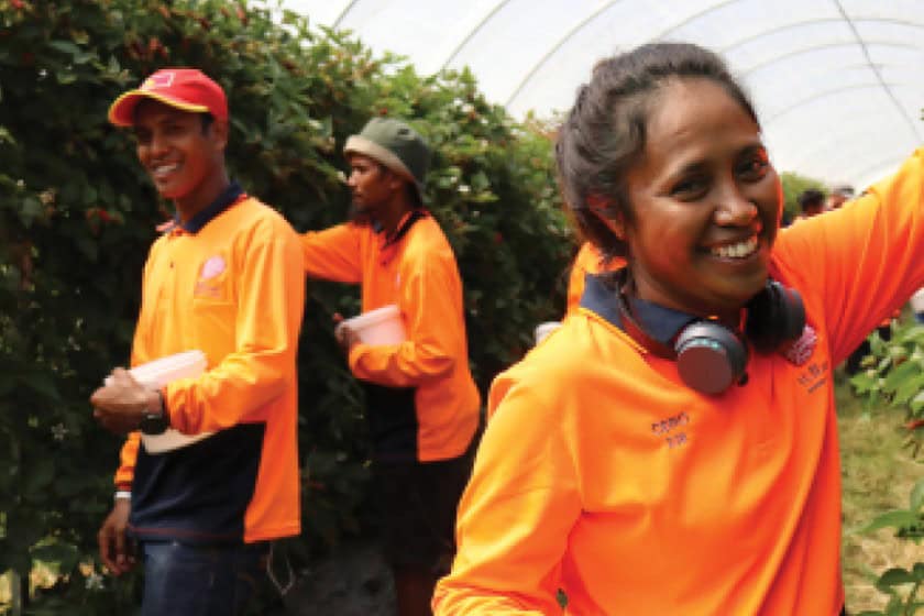 Migrant workforce boosted by 35,000 Pacific Island workers