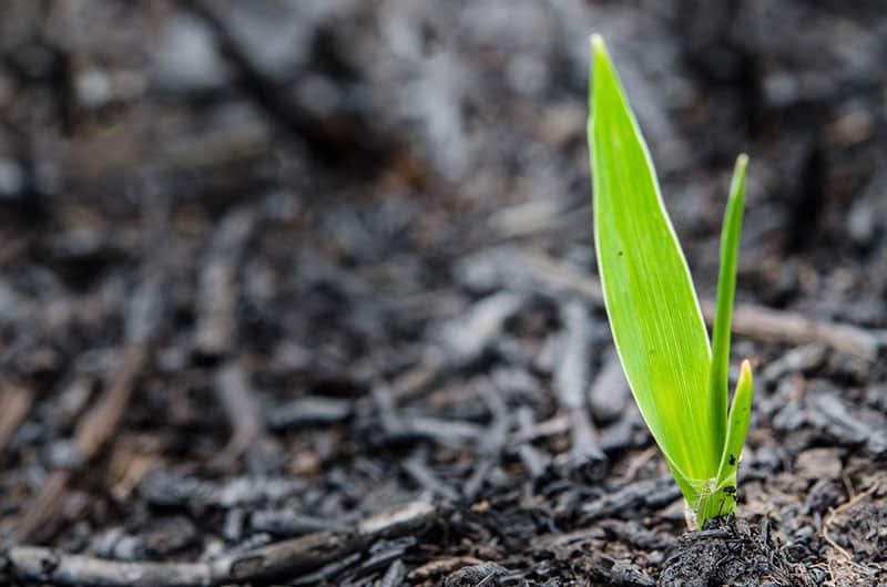 Dealing With Natural Calamities – 5 Essential Steps to Business Recovery