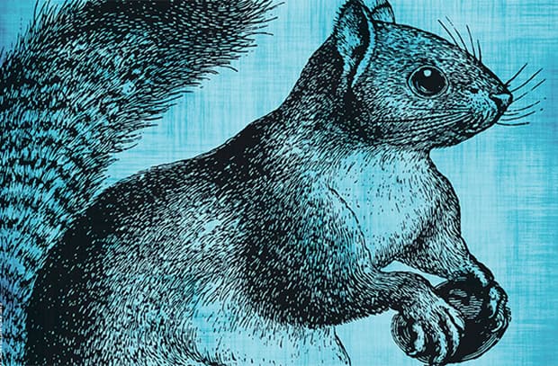 The sovereign wealth fund debate