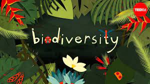 Managing biodiversity loss – another piece of the ESG puzzle