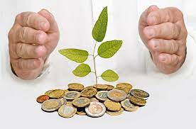 Usage of carbon credits tipped to increase as more businesses target net zero