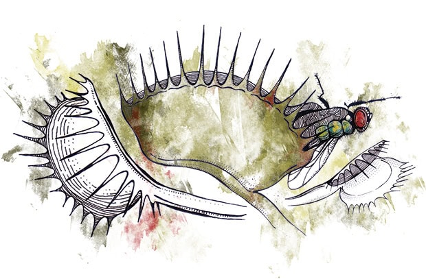 Traps when hiring new staff