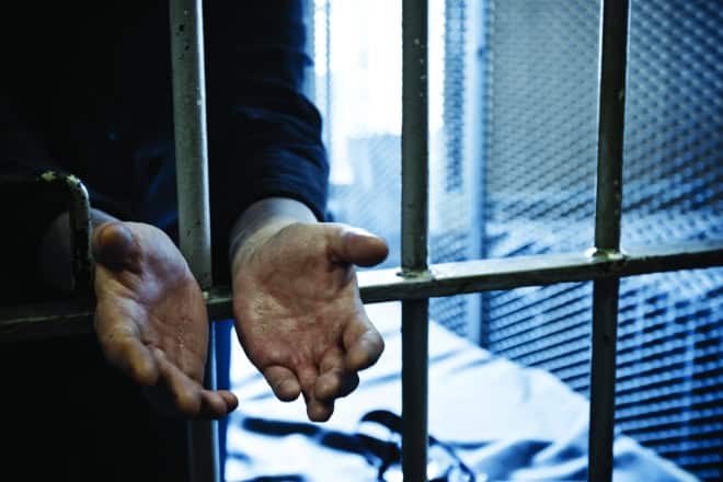 Financial adviser pleads guilty to theft of $4.88m