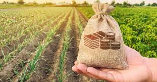 Queensland land tax a revenue grab: CPA Australia