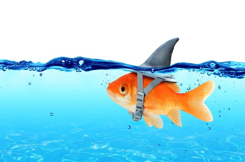 federal-election-GettyImages-72867997 Making life better for small business