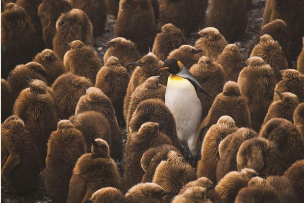 That certain something