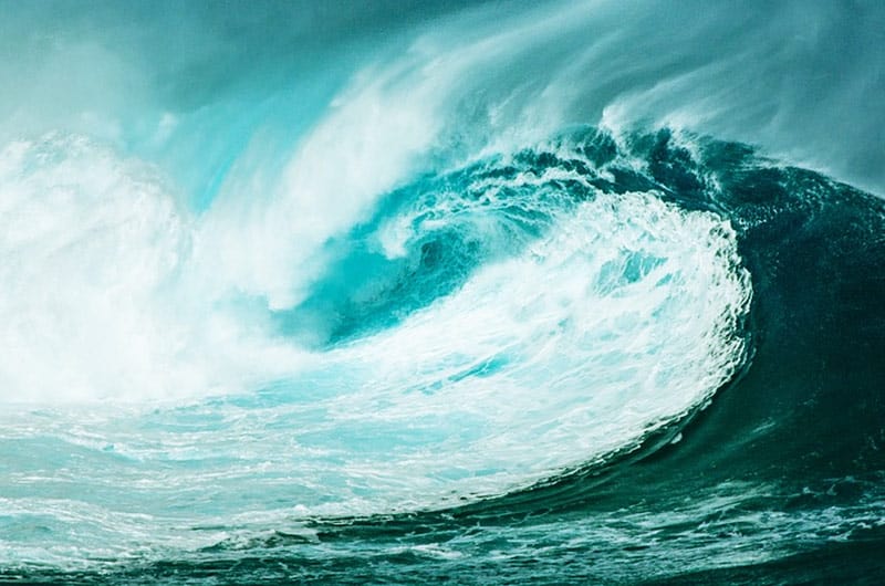 Audit firm reports 'tsunami' of CGT errors