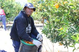 Visa worker program to end this month