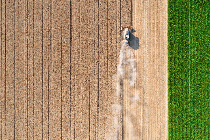 federal-election-GettyImages-72867997