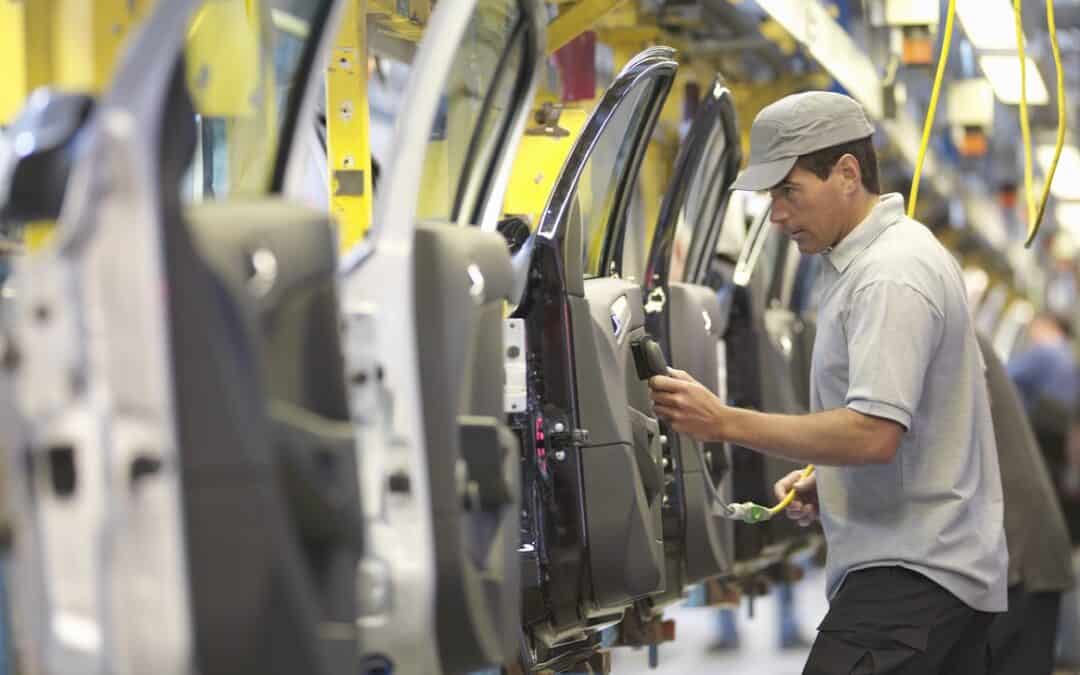 New insights into accounting specialisation